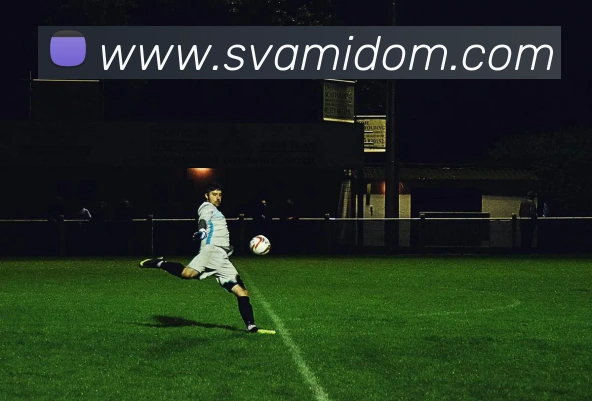 星空官方网站入口APP 封面图
